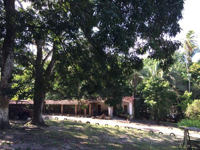 Axixá - Maranhão: Excelente Fazenda p/ Vender - Foto 4