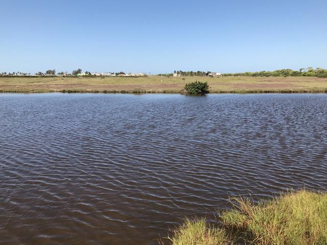 Ótima propriedade em Boa Vista com 55 alqueires - Foto 9