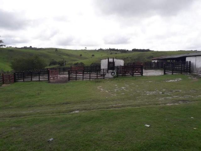 Fazenda para venda em passira, passira - Foto 5