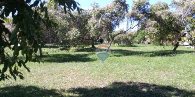 Terreno residencial à venda, alto do mundaí, porto seguro. - Foto 4