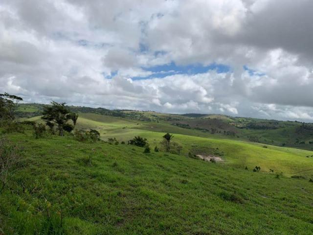 Fazenda para venda em passira, passira - Foto 7