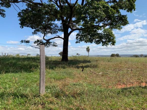 FAZENDA A VENDA EM IRAQUARA - BA (Pecuária) - Foto 2