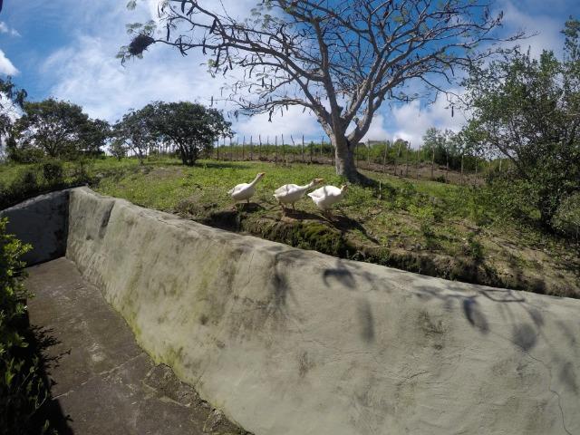 Casa de Campo em Gravatá PE - Foto 18