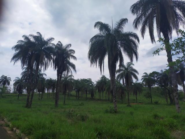 Terreno Rural/fazendinhas financiadas em Jaboticatubas - MVT - Foto 5