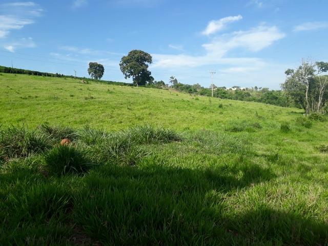 Área 20.000 m2 ao lado da walita em frente à rodovia BR 491 - Foto 7