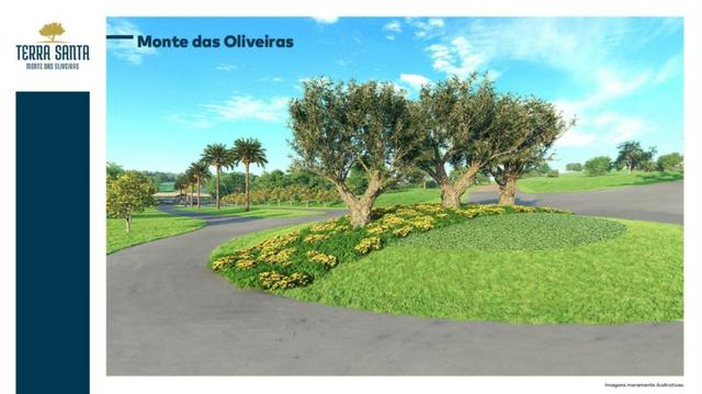 Chácaras em condomínio fechado - Terra Santa - Aqua Parque - Foto 4