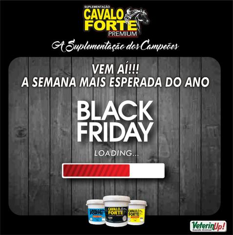 Suplemento cavalo forte premium - Foto 3