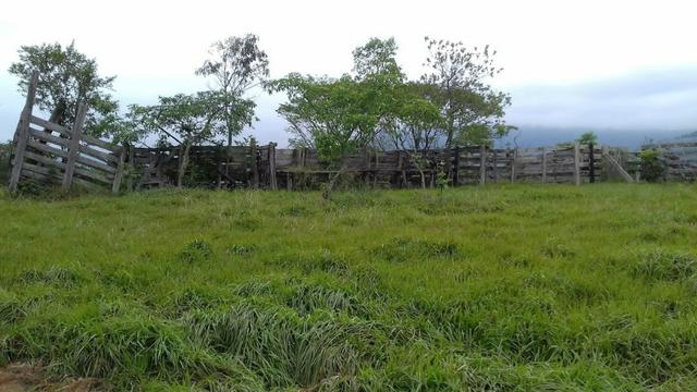 Fazenda 15 alqueires - Foto 5