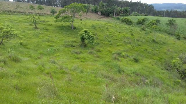 Fazenda 15 alqueires - Foto 6