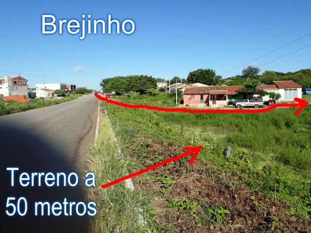 Terreno - Foto 4
