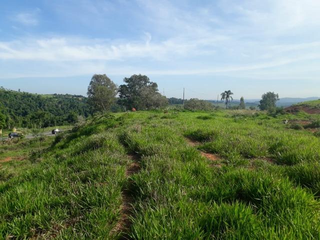 Área 20.000 m2 ao lado da walita em frente à rodovia BR 491 - Foto 5
