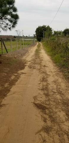 Terreno - Sitio - Chácara - Foto 2