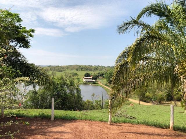 625 Alq. na Cultura | Ipameri-Goiás. Abaixo do Preço! - Foto 9
