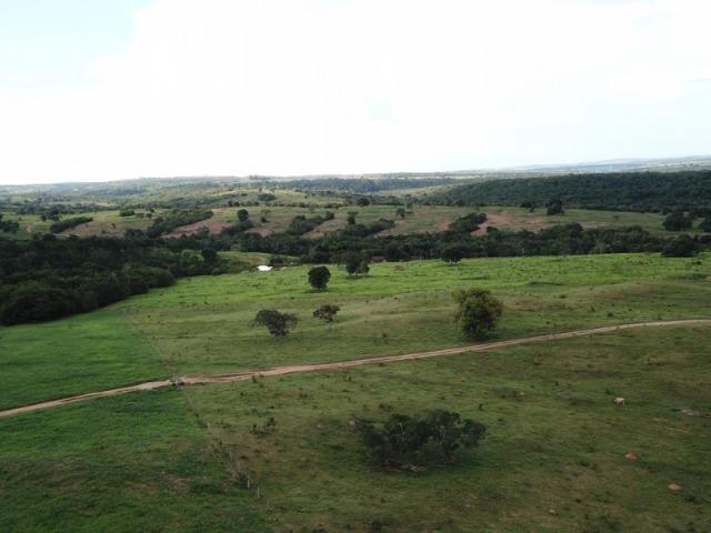 35 Alq. Beira Rio. Morrinhos-GO. Boa de Terra e Água! - Foto 4