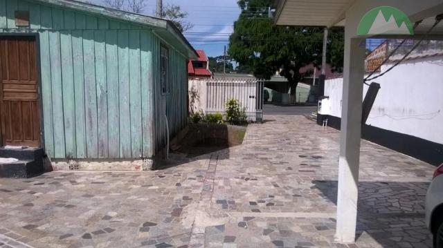 Terreno residencial à venda, pinheirinho, curitiba. - Foto 4