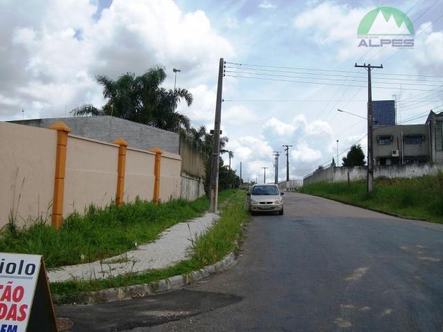 Terreno residencial à venda, braga, são josé dos pinhais. - Foto 8