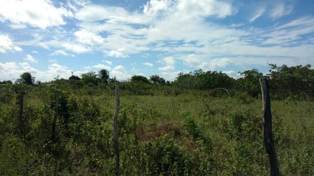 Granja 7 hectares, Casa simples,próximo a RN 064, Cercada - Foto 2