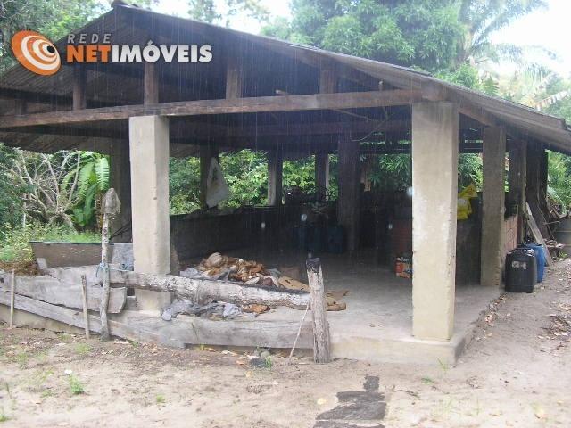 Fazenda com 52,5 Hectares com Fábrica de Azeite de Dendê à Venda na Ilha de Boipeba 402074 - Foto 15