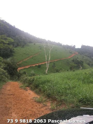 Fazenda a venda Bahia 30 hectares - Foto 3