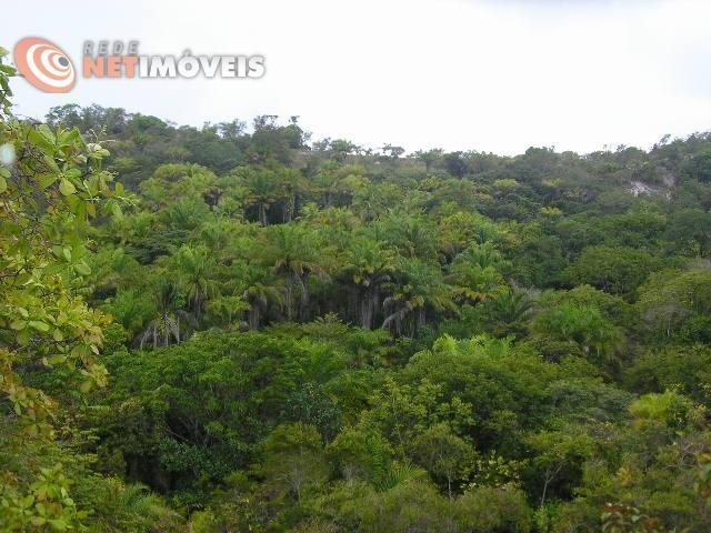Fazenda com 52,5 Hectares com Fábrica de Azeite de Dendê à Venda na Ilha de Boipeba 402074 - Foto 3