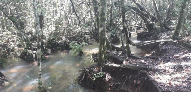 Vendo Chácara com 4 alqueires em Piracanjuba aceito proposta avista - Foto 14
