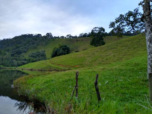 Fazenda Viana 20 alqueires - Foto 6