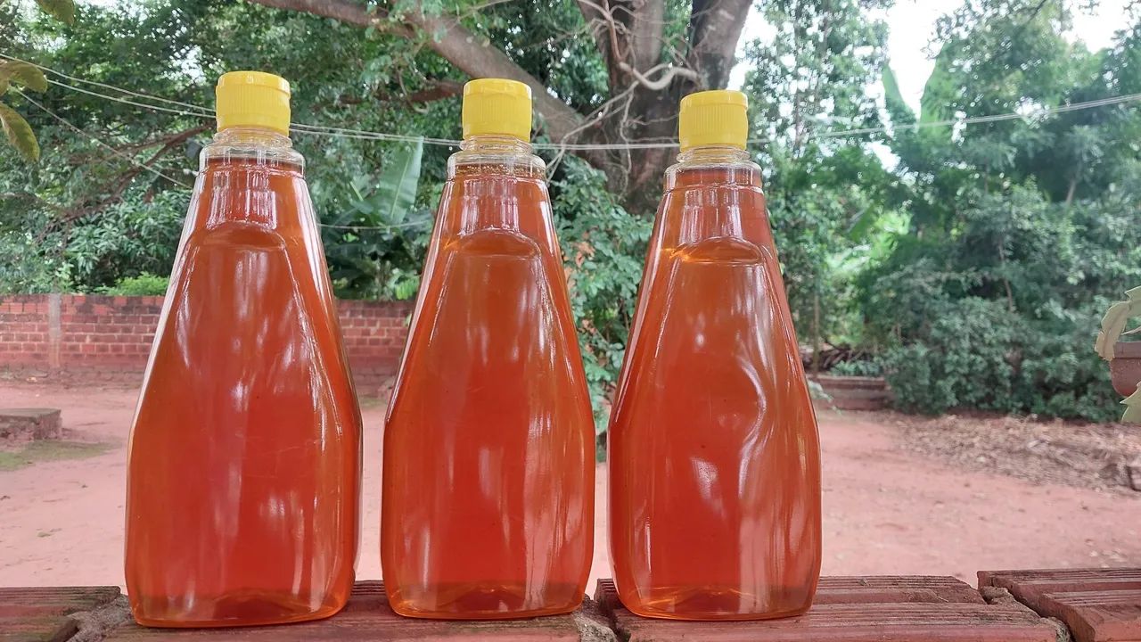 Mel de abelha puro e natural - Foto 2