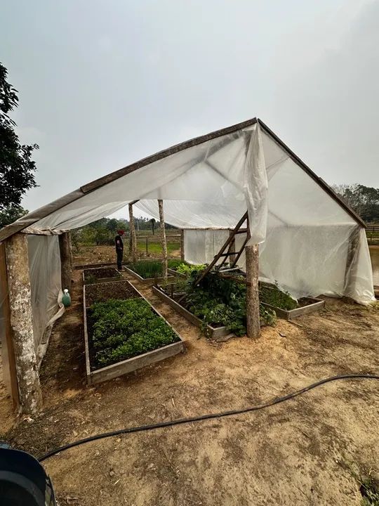  Vendo uma colônia de 15 hectares, no ramal da alcobras no km15  - Foto 10