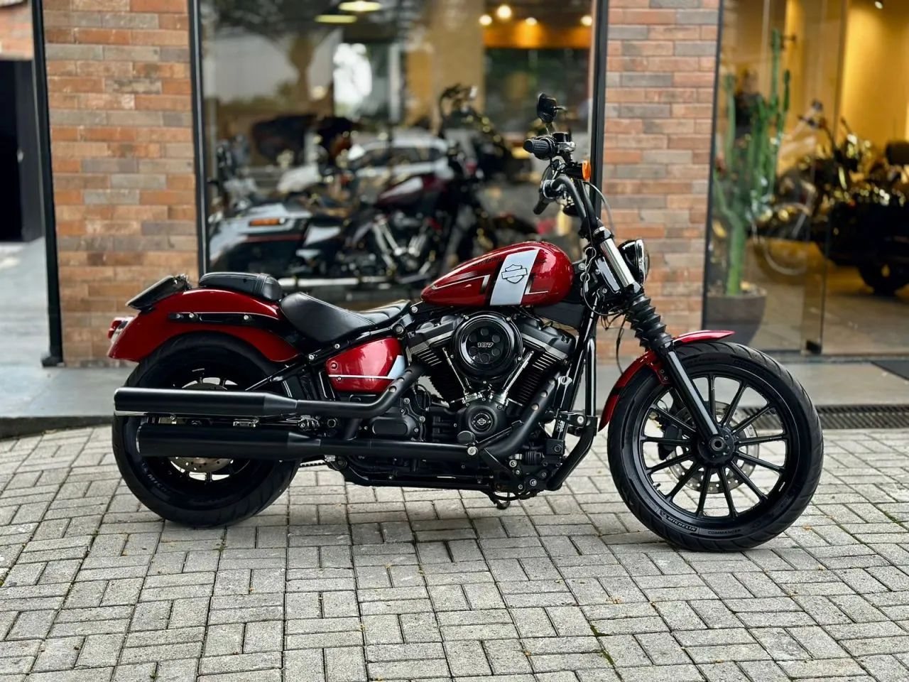 Street bob olx hotsell