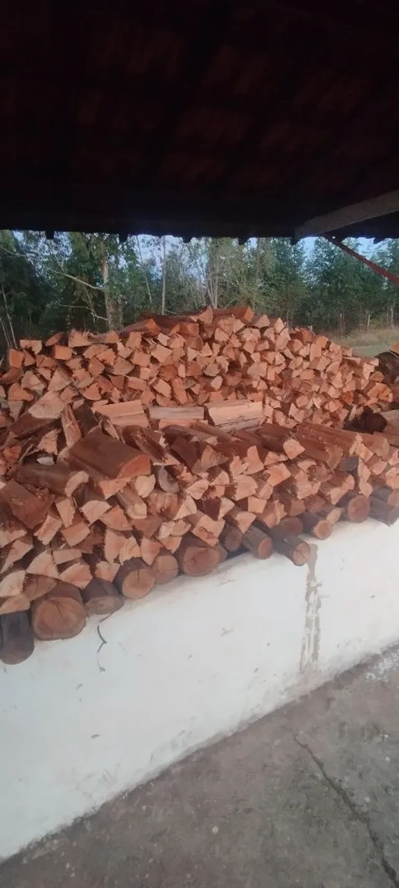 Lenha rachada de Eucalipto para Fogão e Lareira-30 cm Seca e ensacada