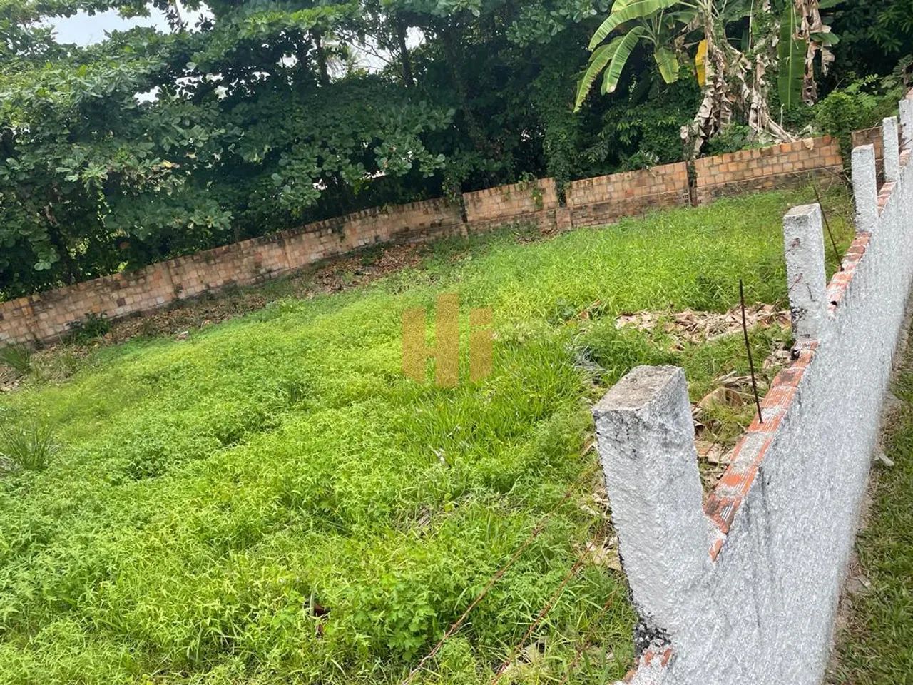 Terreno dos Sonhos à Beira-Mar em Sirinhaém, PE! - Foto 9