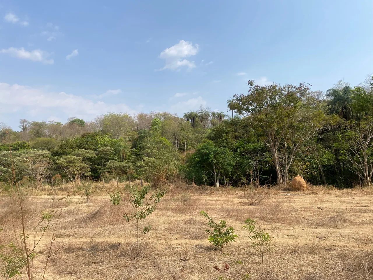 Lote 4.000 metros com água nos fundos  - Foto 3