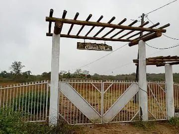 Foto - São Gonçalo dos Campos - 