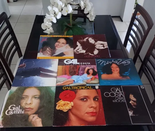 Oito discos de vinil de Gal Costa em ótimo estado.