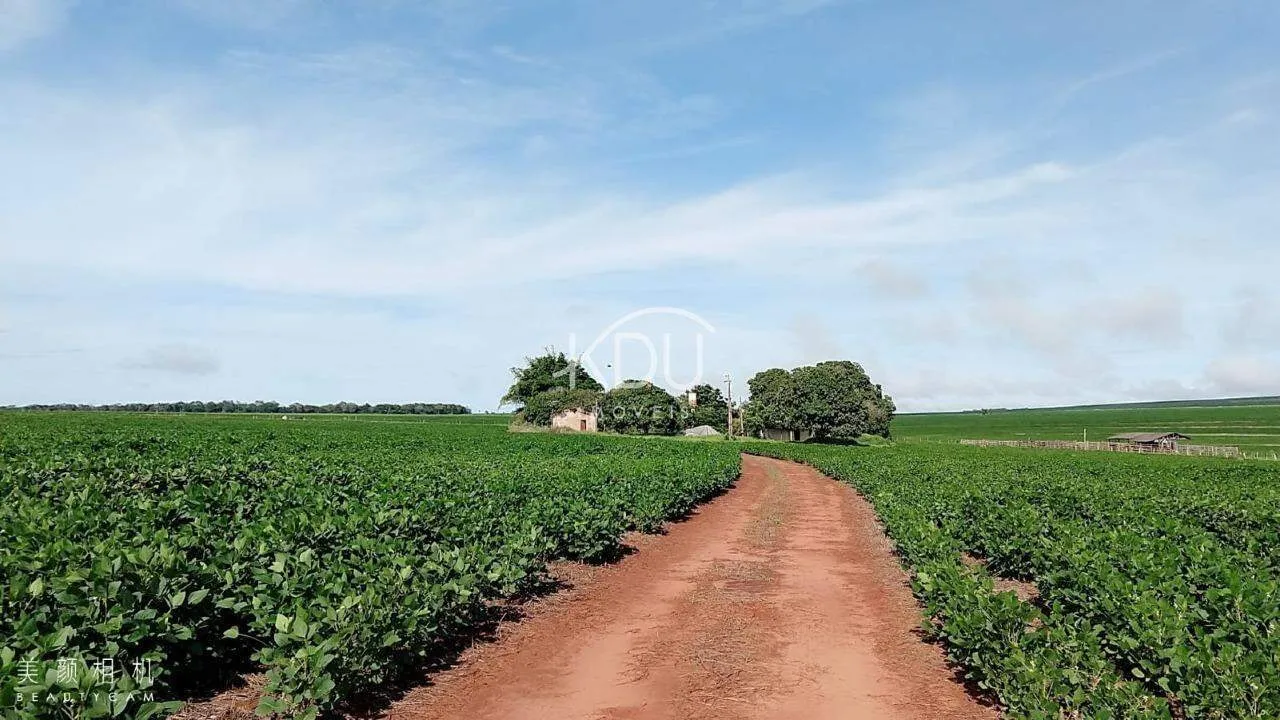 Fazenda à venda Rural Primavera do Leste 7.835.250,00