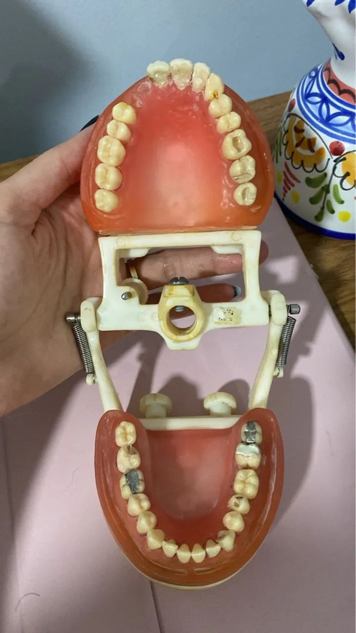 Manequim odontológico para treinamento - Foto 4