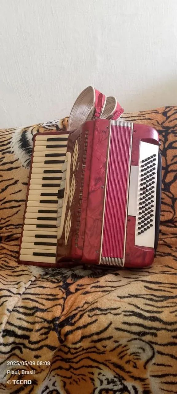 Sanfona e pandeiro - Foto 2