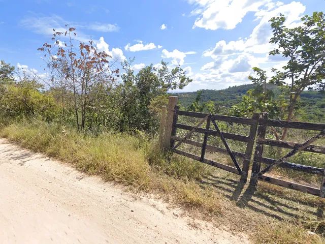 Foto - Contagem - Arvoredo