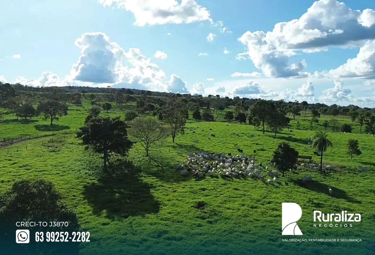 Colinas - TO à 30 km da rodovia, com solo fértil e alto potencial produtivo,  para manejo 