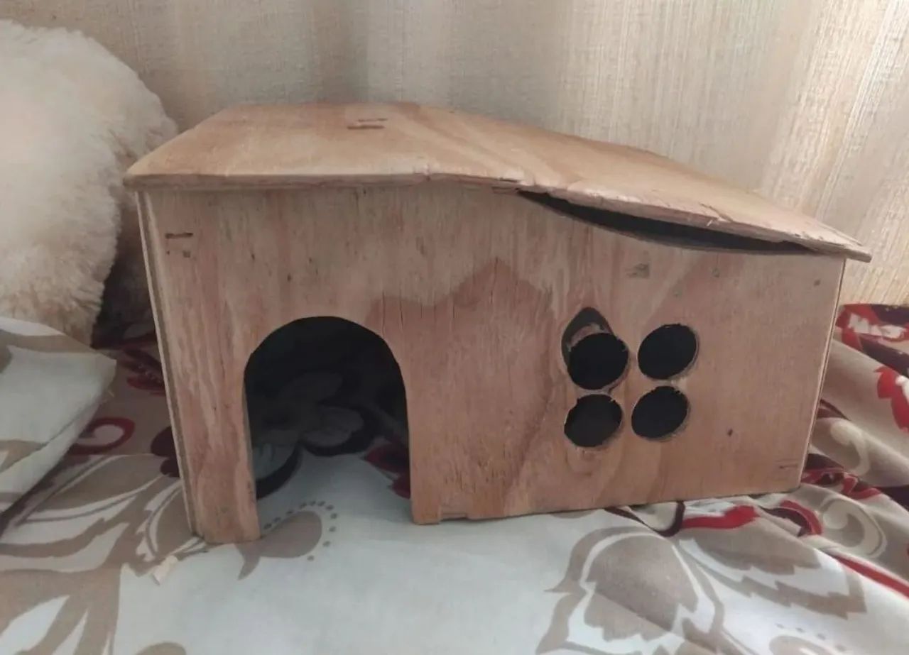 Casa de madeira para roedores