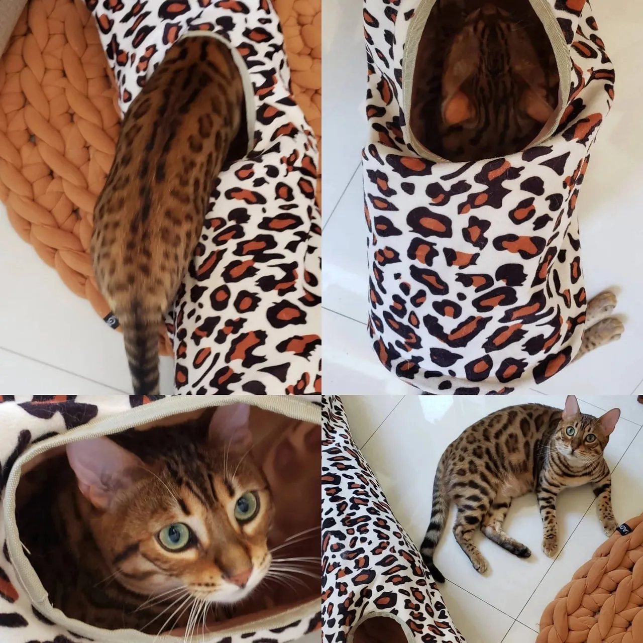 Túnel para Gatos com Estampa de Onça - Conforto e Estilo!