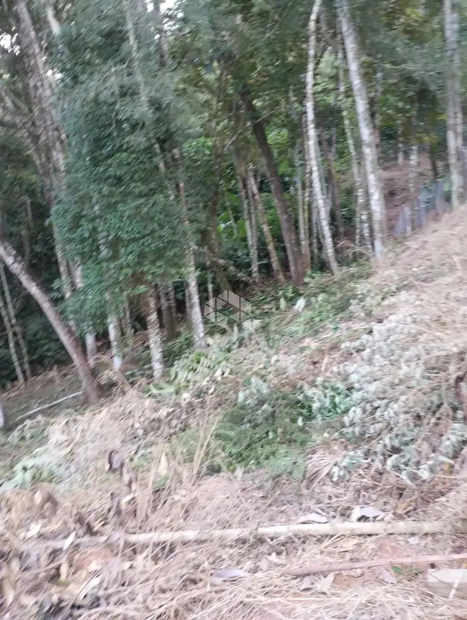 Terreno no bairro Forquilhas, em São José - SC - Foto 8