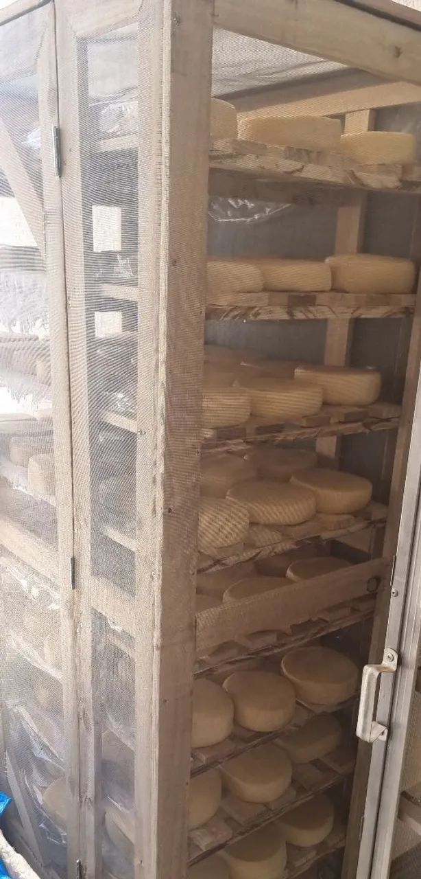 Queijo Meia Cura 