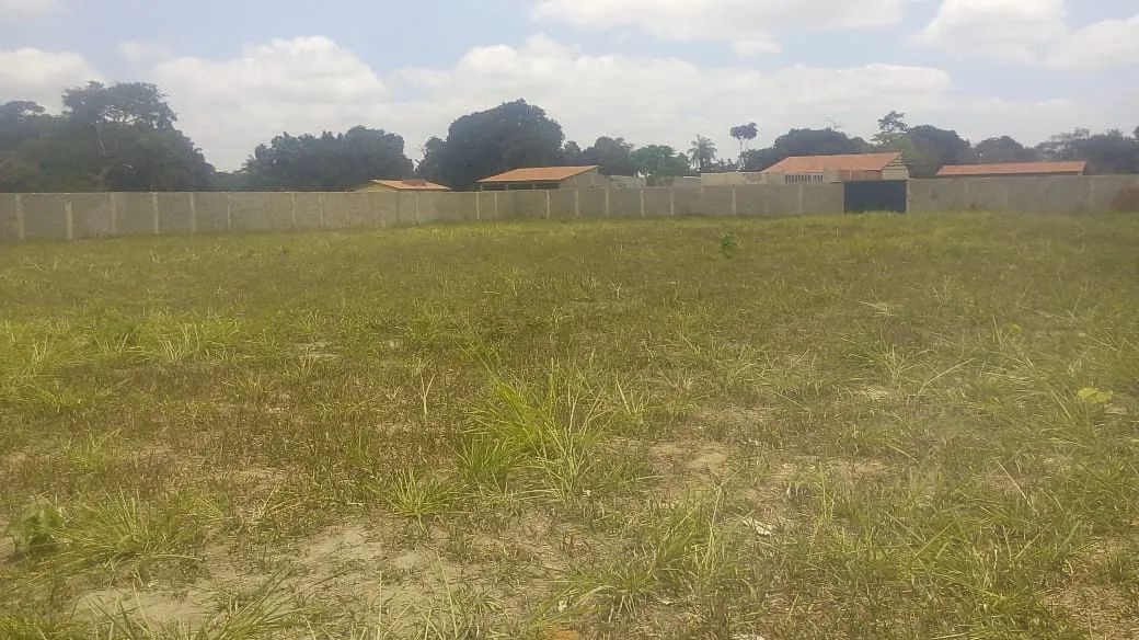 Terreno 2400m2 c/05 Casas, Margens da Estrada de Aldeia Km-19 Chã de Cruz Aceito Automóvel - Foto 4