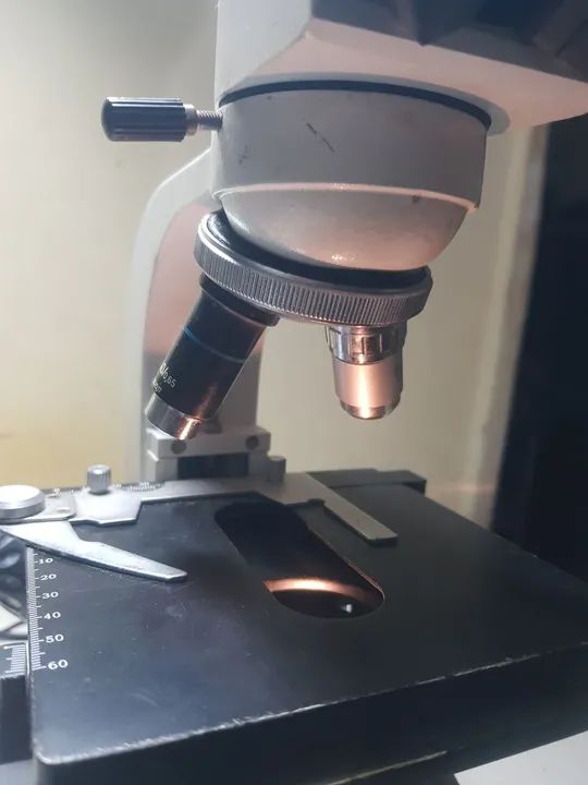 Microscópio Biológico Bioval - Foto 4
