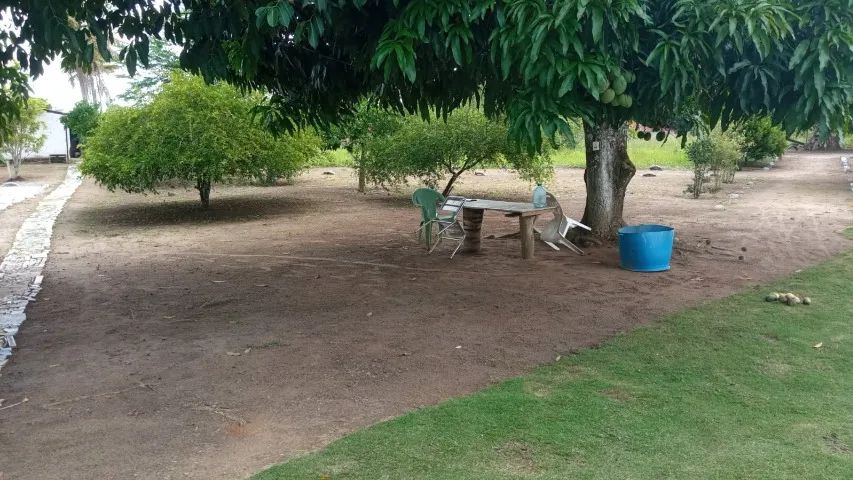Alugo lindo sítio com piscina, casa principal e dormitórios, em Aldeia  - Foto 3