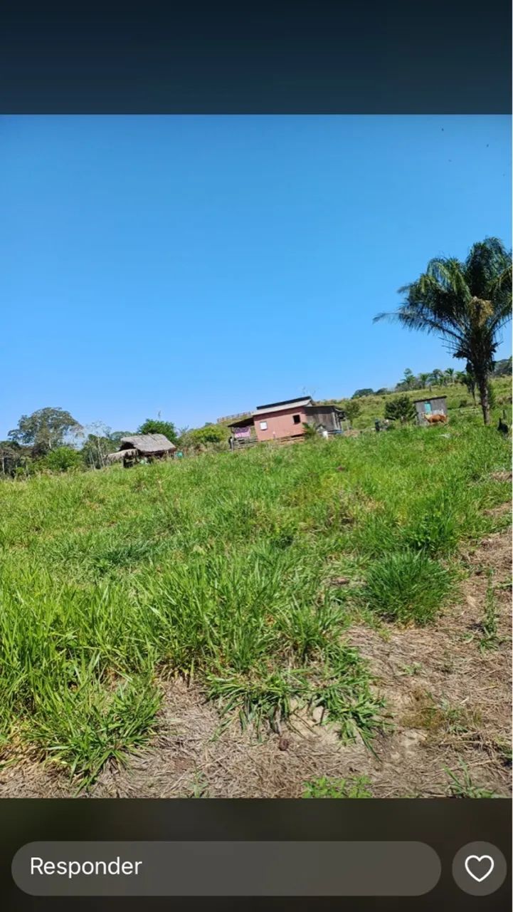 Colônia no espalha  - Foto 2