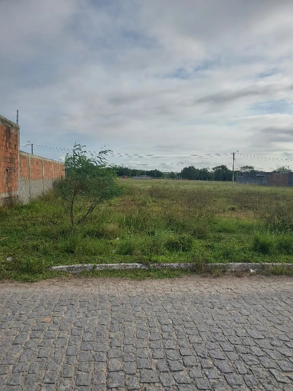 Foto - Jaboatão dos Guararapes - Muribeca