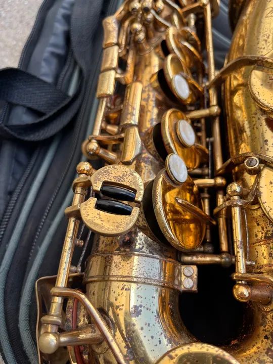 Saxofone Alto waldman  - Foto 5
