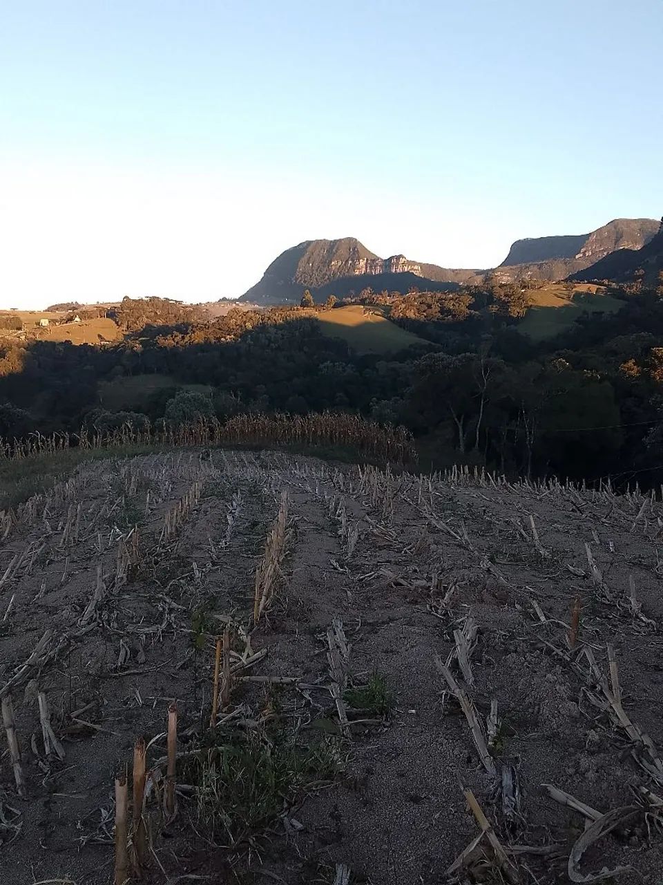 Terreno ou lote  - Foto 4